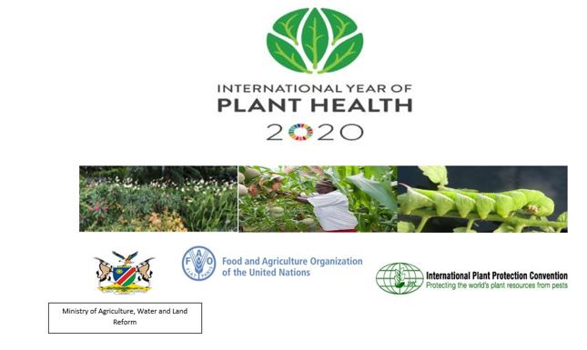 The International Year of Plant Health 2020