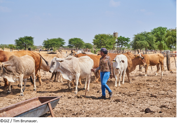 How to best make use of a resettlement farm: Advice from a women farmer