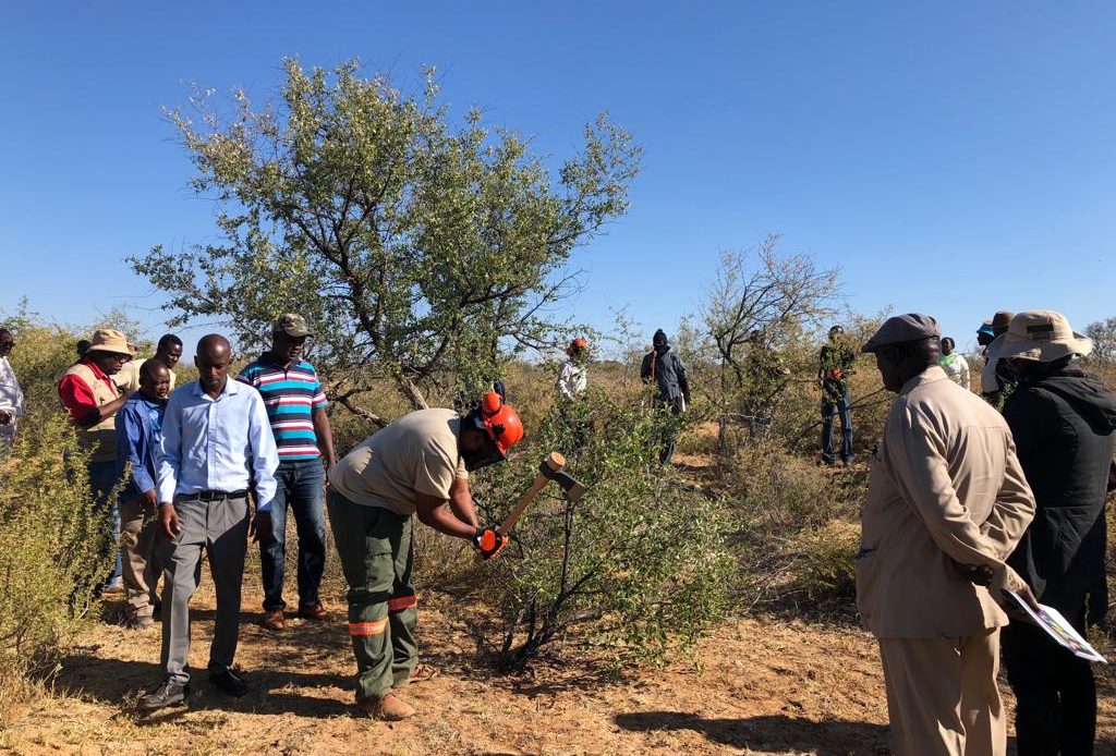 Bush-based Animal Feed Trainings for Farmers