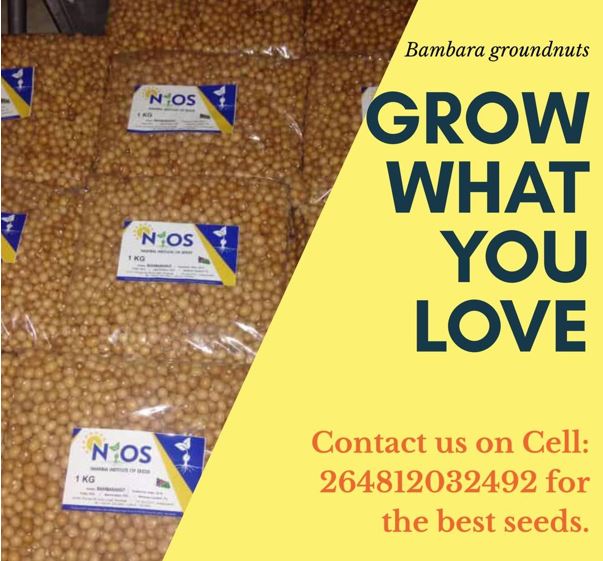 It all starts with the right seeds : Quality seeds and soil are the blood line of cultivation.