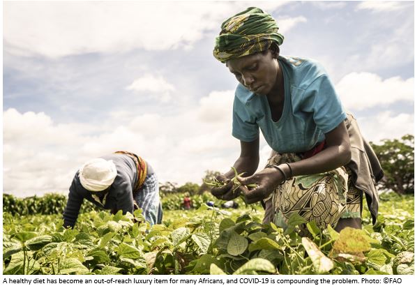 A healthy diet must not be a luxury for Africans