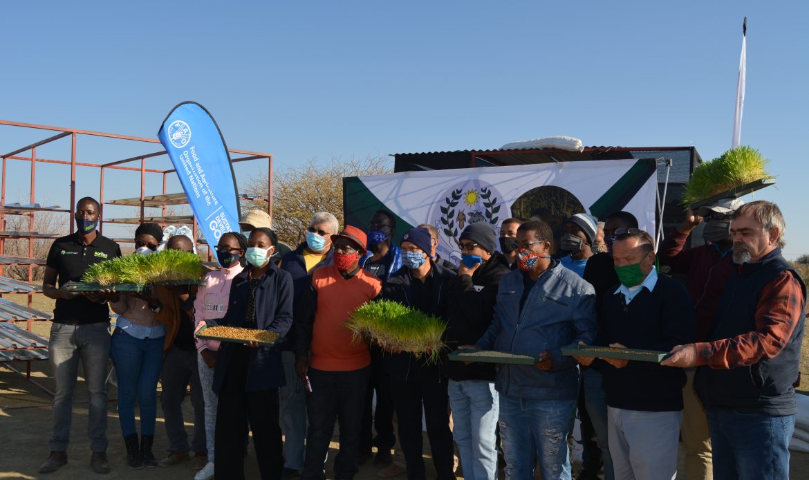 Emergency livelihood support to drought-affected communities in Namibia