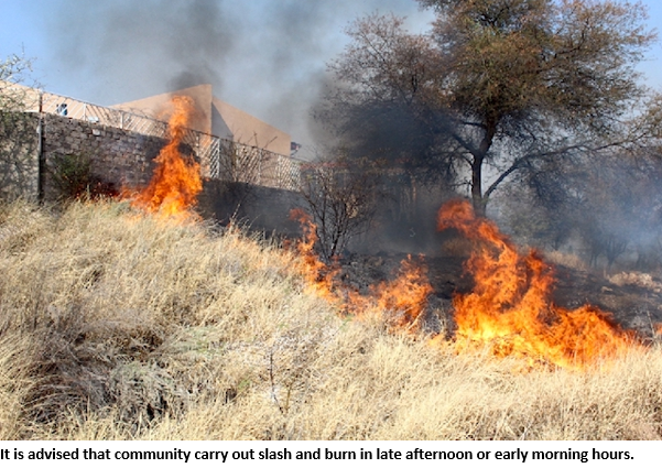 Irresponsible behavior: the main cause of veld fire.