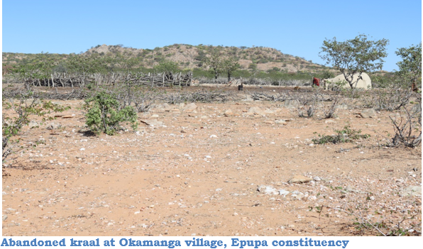 Kunene region continues to be under a serious drought spell