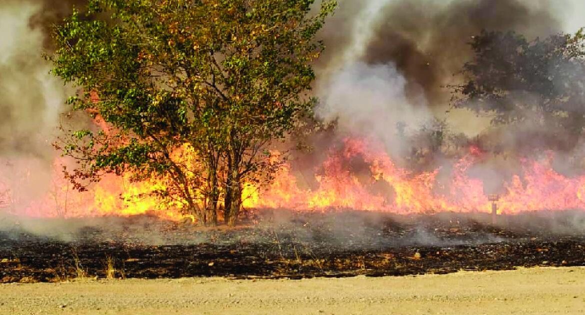 Farmers and members of the public advised to responsibly use fire during this fire season